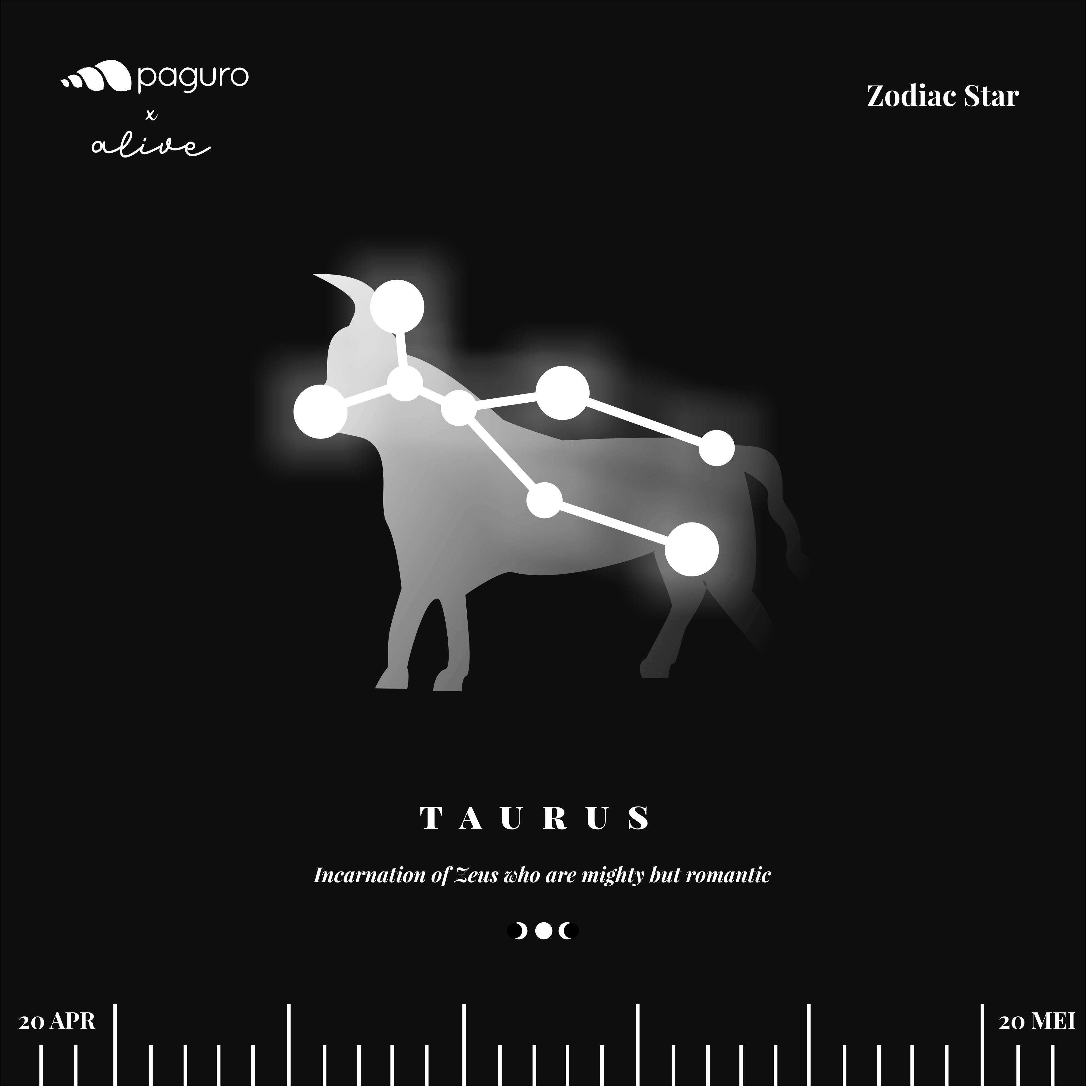 Taurus Zodiac Sign Sustainable Necklace-3